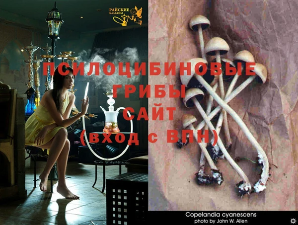 трава Баксан