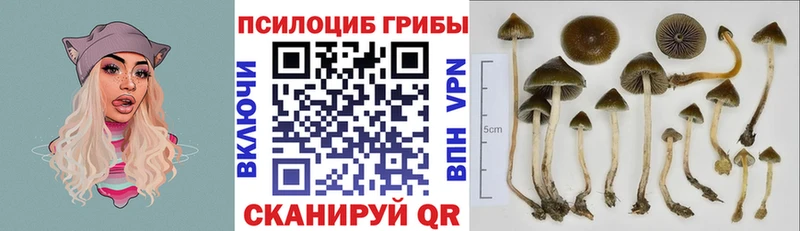 Галлюциногенные грибы мицелий Маркс